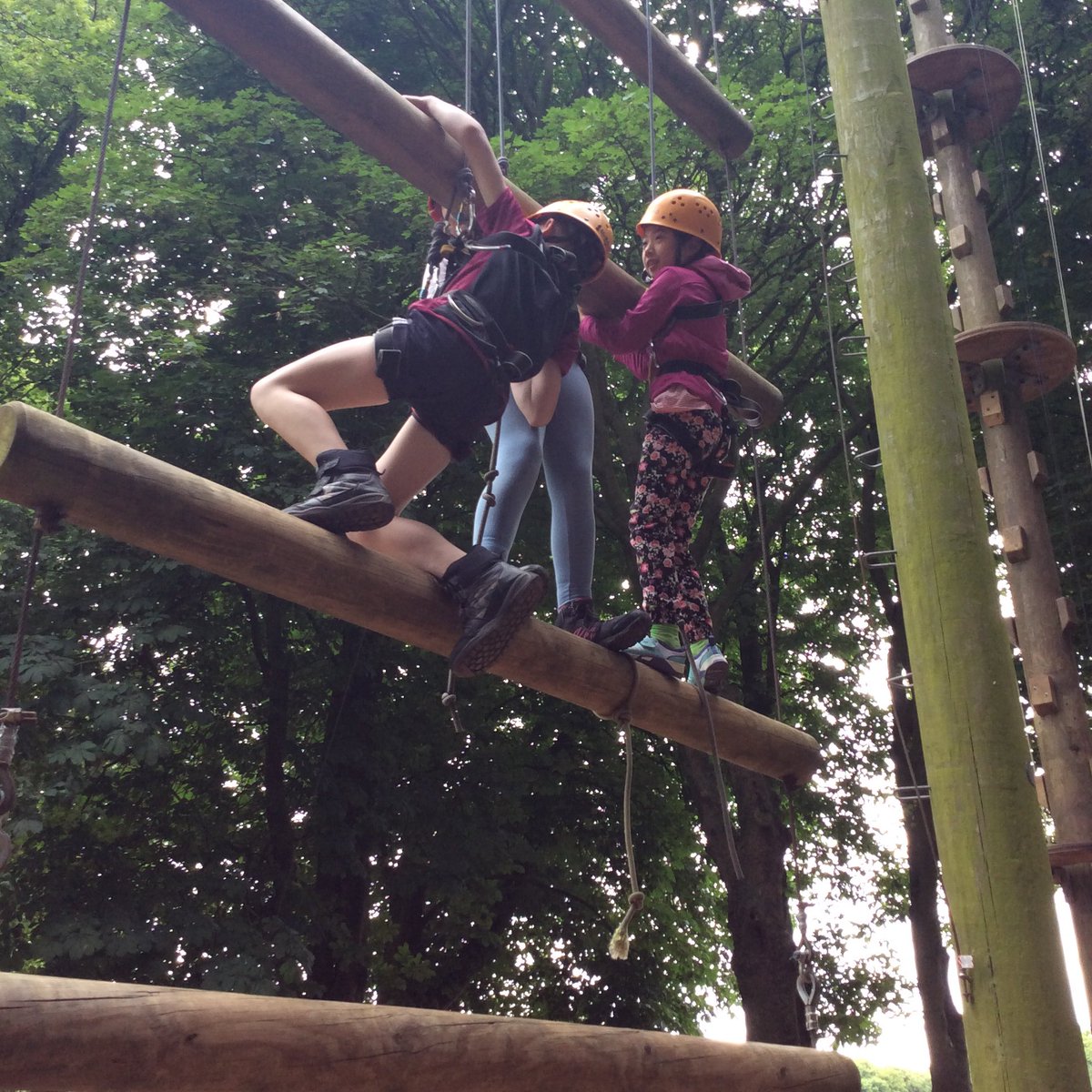 CliftonSch's tweet photo. Climbing Jacob's Ladder. Well done! Excellent teamwork and communication was needed to reach the top. https://t.co/XQgW5s88Ty