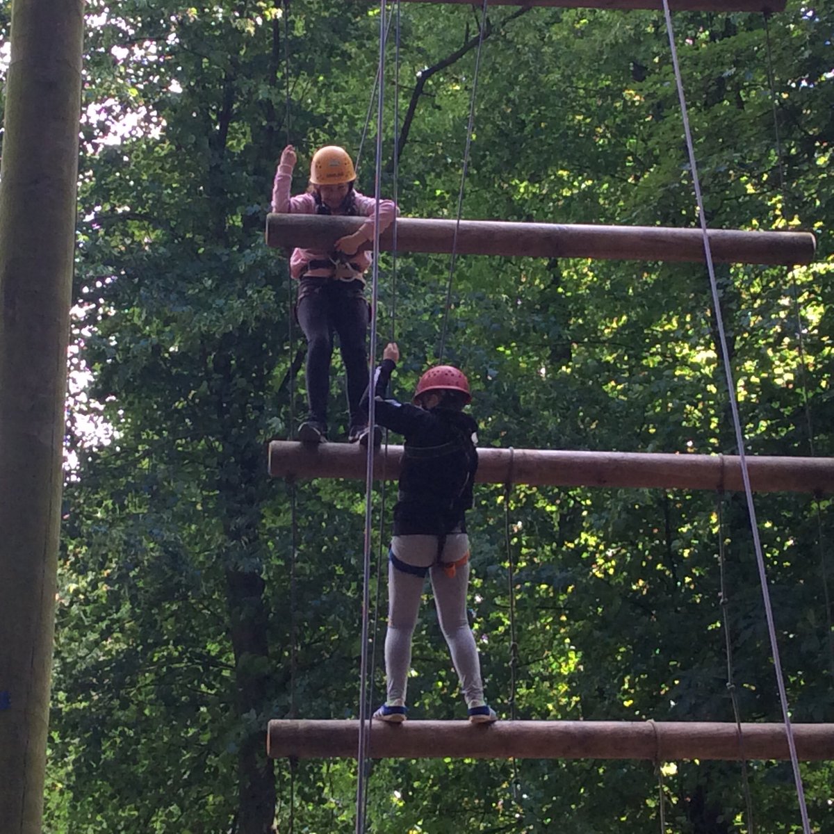 CliftonSch's tweet photo. Climbing Jacob's Ladder. Well done! Excellent teamwork and communication was needed to reach the top. https://t.co/XQgW5s88Ty