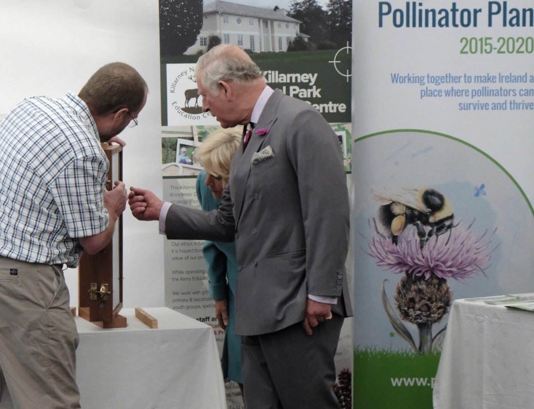 Killarneynatparkedu Knpeducentre Twitter