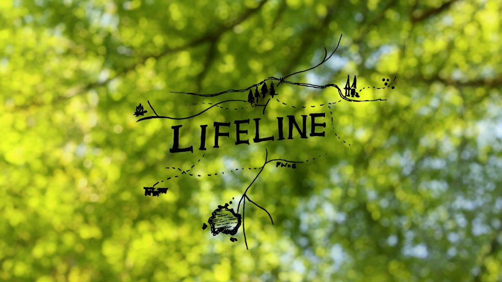 And That’s (finally) a Wrap featherswoodnstring.wordpress.com/2018/06/18/and…