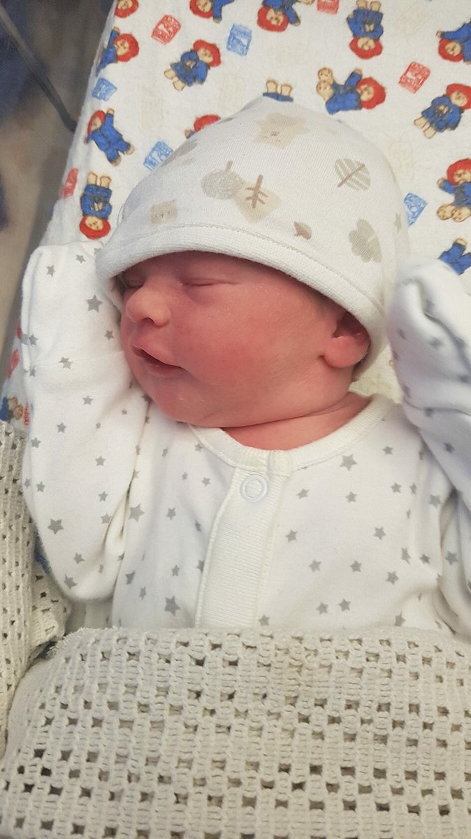 LutonTownLadies's tweet photo. BABY NEWS: Congratulations to our goalkeeper Angelika Kopec who gave birth to a baby girl last night named Kaya ππΆπ» #futurehatter #LTLFC @angelika_k_k https://t.co/VlIgTch8j6