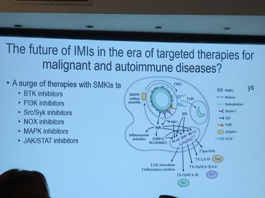 oveimarc_MD's tweet photo. Increasing report of invasive fungal infection with small kinase inhibitors (like ibrutinib)- nice review by Dr G. Chamilos at #ICHS2018 . Report your cases. https://t.co/7HCiLDh9fV