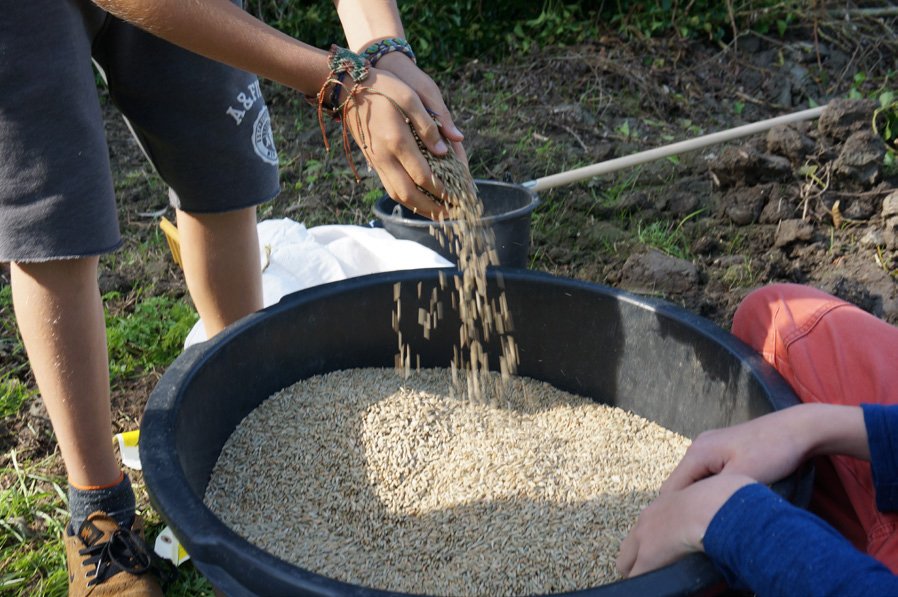 Komende woensdag bakken studenten #Noorderpoort, <a href="/Alfacollege/">Alfa-college</a>, <a href="/mboterra/">Terra MBO</a> en @rocmensoalting samen brood tijdens 'From Farm to Table' <a href="/wastenowastef/">waste-no waste</a> @Suikerunie_050. bit.ly/2tgNQaQ