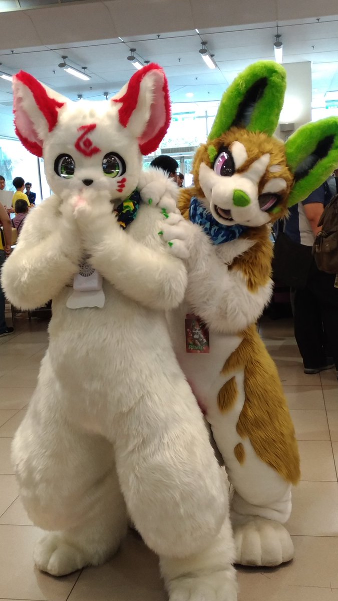 #Furrymosa2
#kemonoline