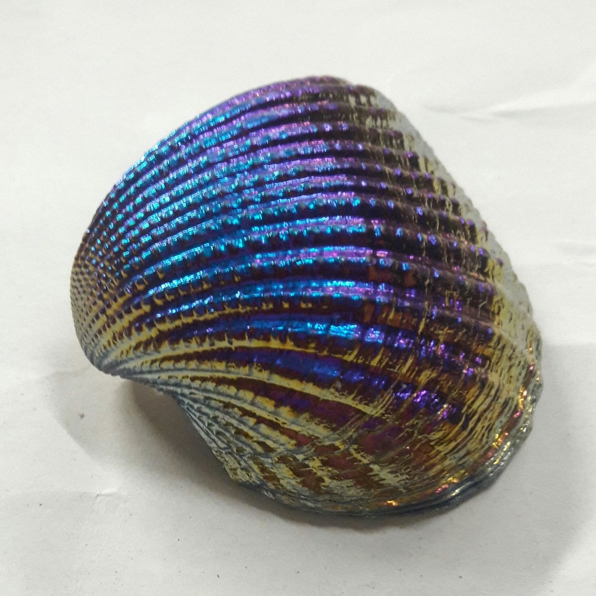 jayanta952's tweet image. #NewProfilePic