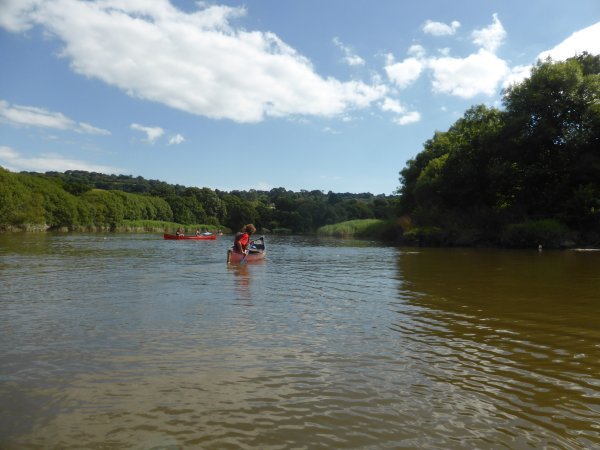 Devon Social Group tweet media