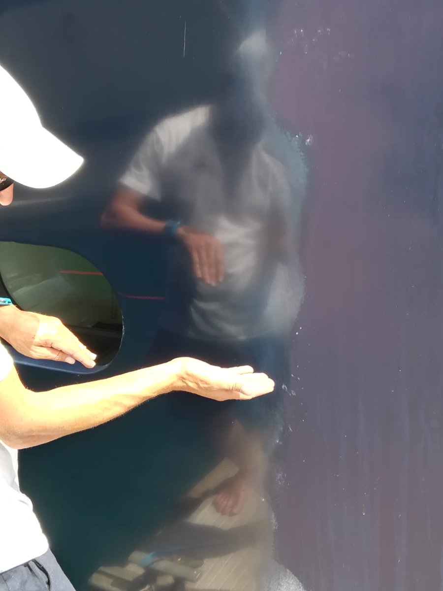 Polshield_'s tweet image. POLSHIELD – CSHIELD COATING LATEST WORK
Our latest work in Port Adriano, stern protection with Ceramic Coating. With the use of advanced nano-technology, our ceramic coating will improve your vessels performance while protecting it from the elements. #polshield #cshield #Palma