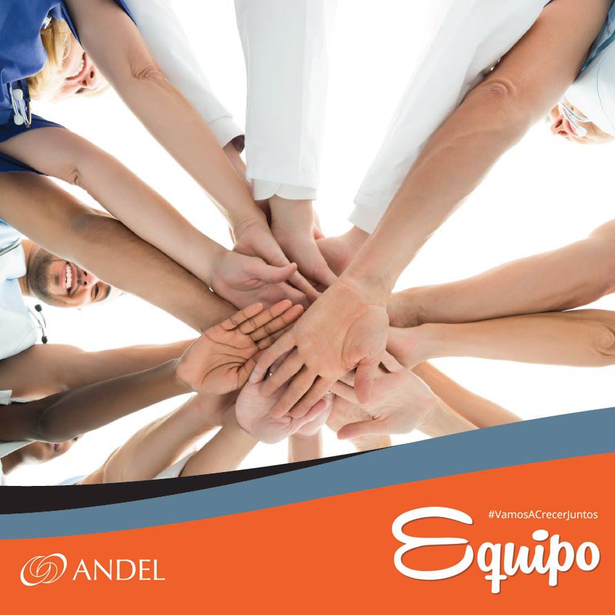 ANDEL tweet media