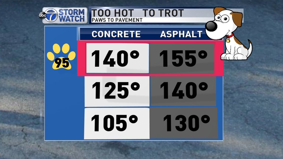 Be careful walking your dog. Use the #5-secondRule : Place the back of your hand on the pavement . If you can't hold it for 5 seconds, it's too hot to walk your dog.
