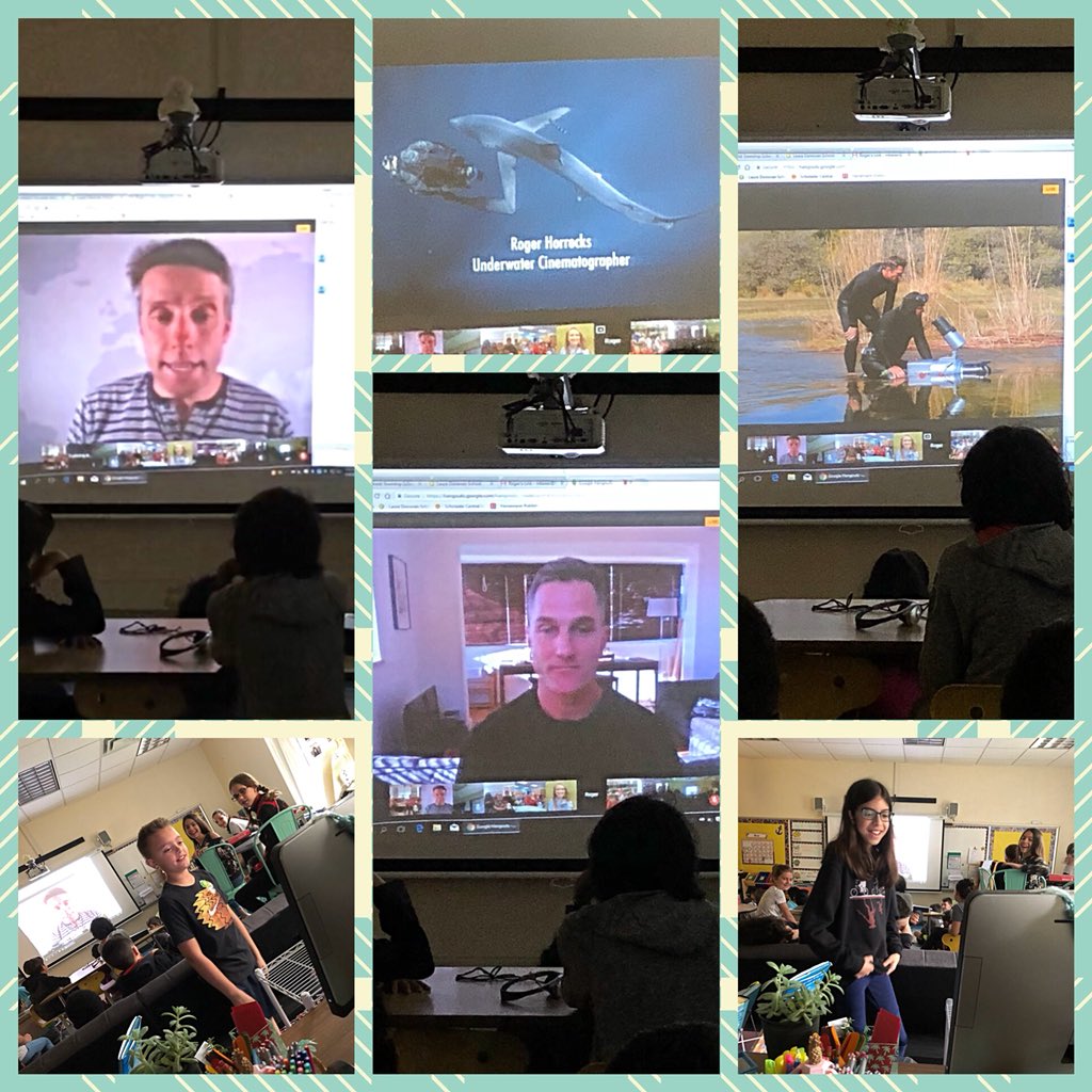 Megan Kaiser tweet media