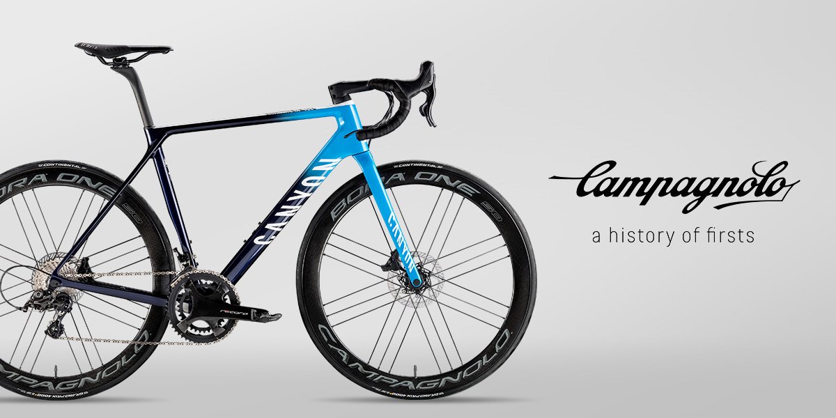 canyon campagnolo