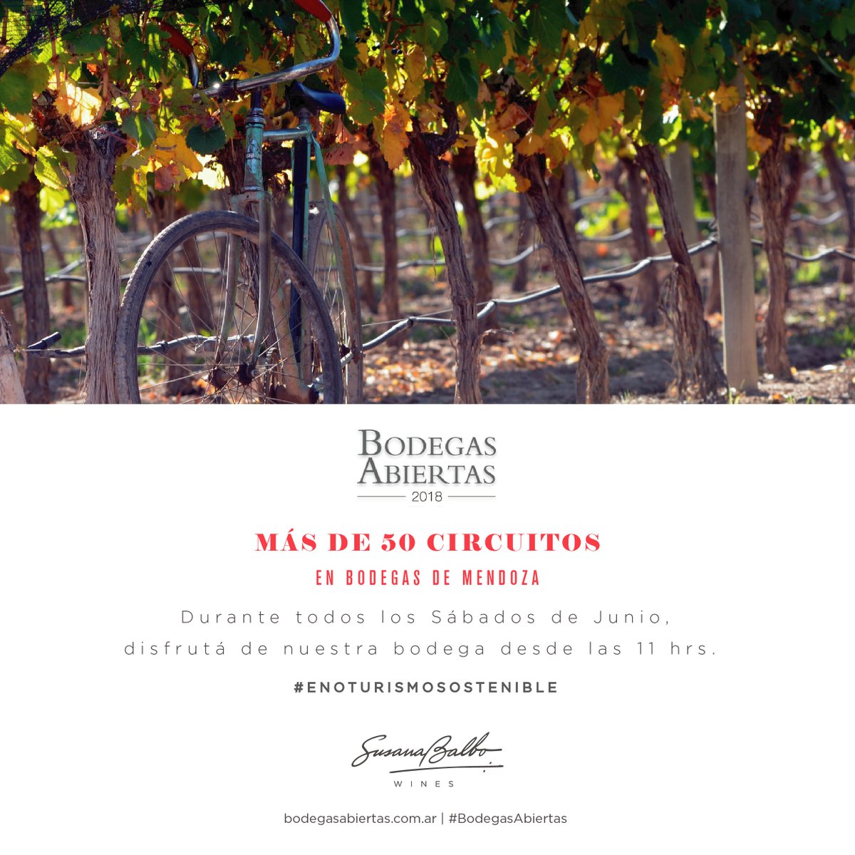 sbalbowines's tweet photo. Participamos de la séptima edición de #BodegasAbiertas, organizada por @BodegasAR y a beneficio de #FONBEC. 

¡Los invitamos a todos a conocer las actividades de nuestra bodega! 

Pueden conseguir sus entradas en: https://t.co/ug1cZnuybZ https://t.co/Knd1xgsGy4