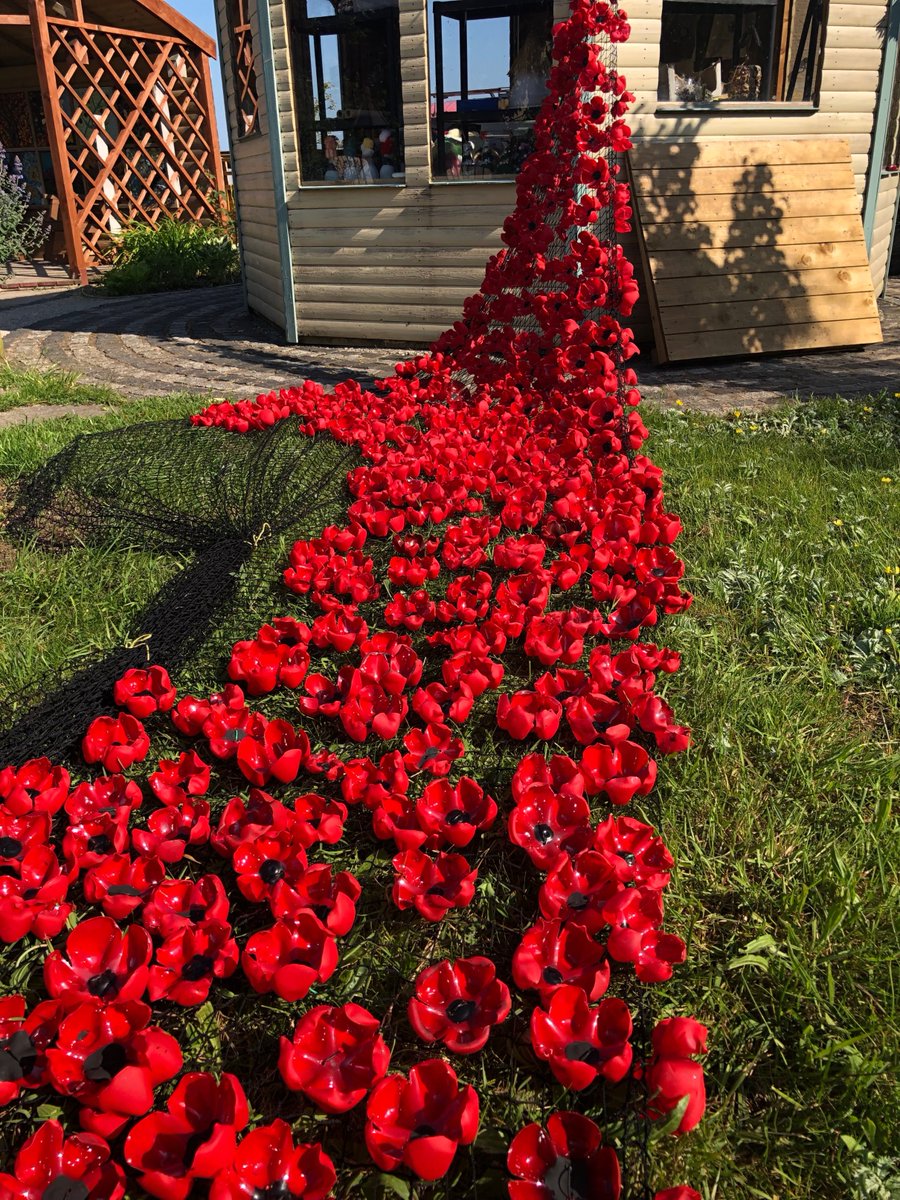 willow_project's tweet photo. Look how fabulous are display is looking #supportingAdults #DementiaAwareness #TeamworkMakesTheDreamWork #BritaininBloom #itvnews #natashacarter #Fleetwood #upcycling #FY7 #GreenSpace #HealthyLiving supported by #UniqueEstateAgent  its amazing !!!!!!@lancsfoundation https://t.co/RTEHdkopuv