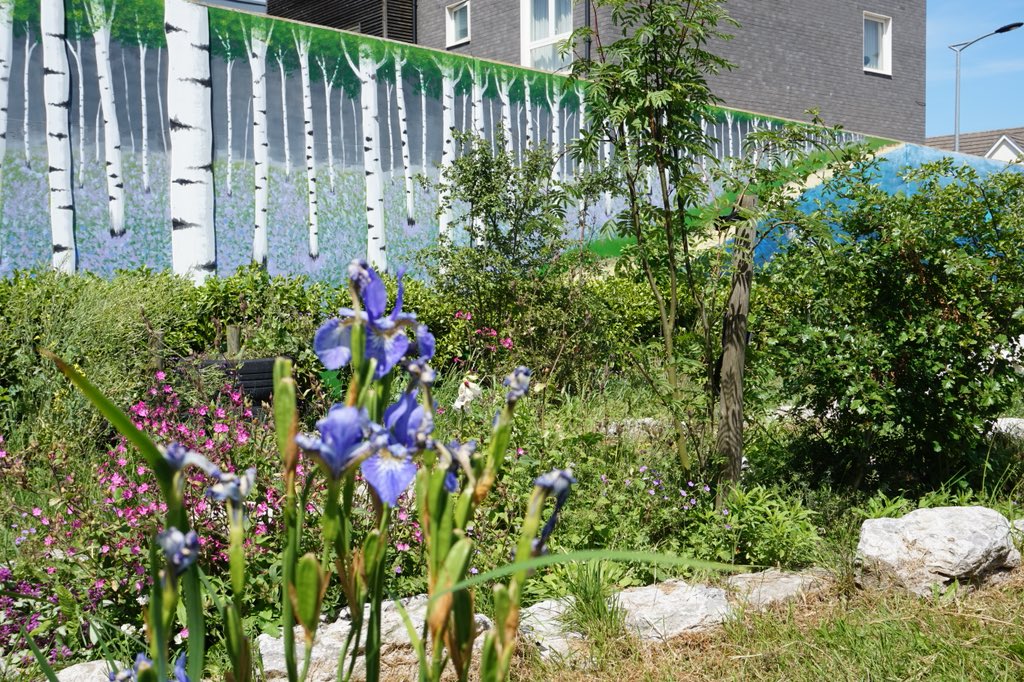 Riverside Garden tweet media