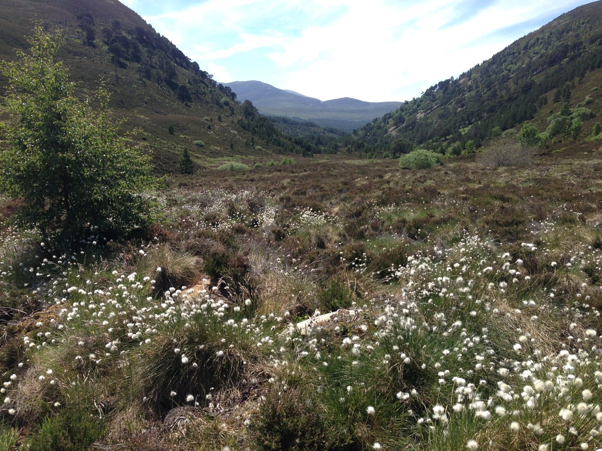 Glenmore Lodge tweet media