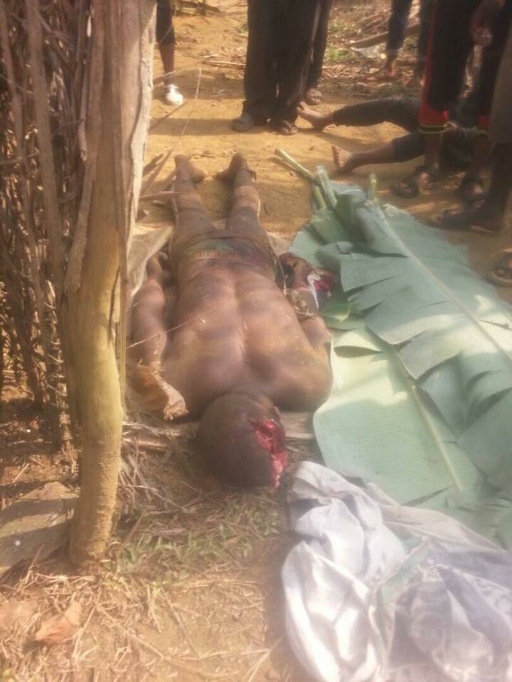 asu_lucas's tweet photo. Speak up. Speak out &amp; help STOP LRC brutal dictator #PaulBiya’s #GenocideInSourhernCameroons #ambazonia &amp; save humanity from evil &amp; barbarism.

#DeployPeaceKeepers 
#FreeSouthernCameroons 
#FreeAllArrested
@KremlinRussia_E @PutinRF_Eng @RussiaUN @MedvedevRussiaE @EmbassyofRussia https://t.co/T2j6Hy78oK