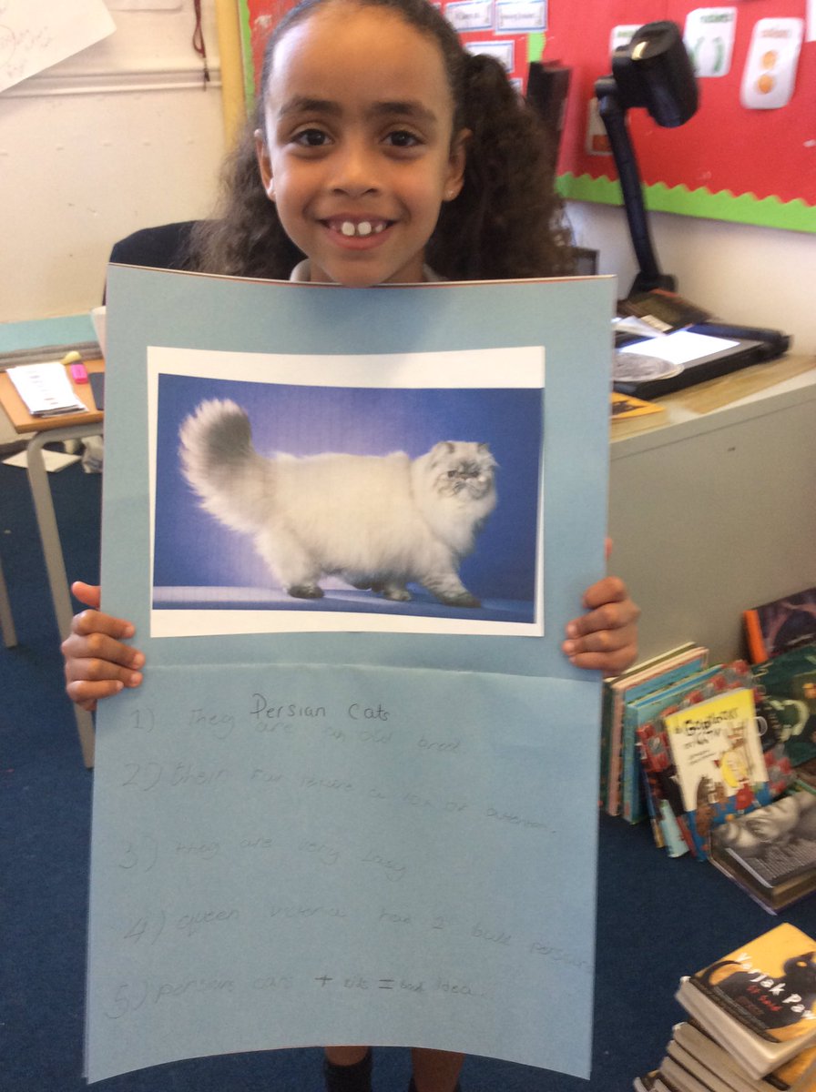 St_JamesYear3's tweet image. Super home school projects from Melody, Miles and Lucius! Well done! #homeschoolproject #3Sweden