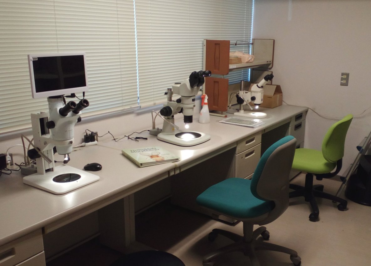 YoichiroTamori's tweet photo. making a new fly room at my new place. #HokkaidoUniversity #Drosophila #FlyPushing https://t.co/4sjQVZ2Cd7