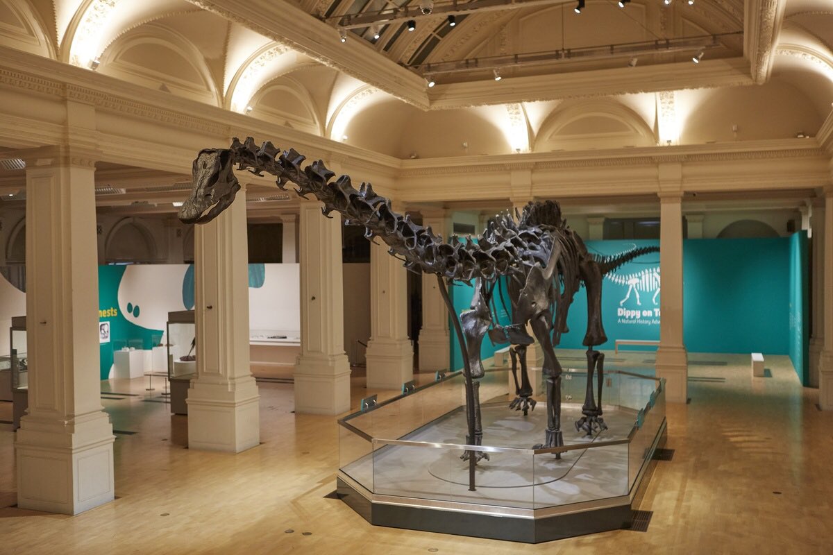 outinbrum's tweet photo. Good luck to @HOS_Birmingham for their opening tomorrow night.
A bit gutted we canβt make it along but our dinner date has been waiting 152 million years to dine with @outinbrum
#dinewithdippy https://t.co/xbEMX6RqK1