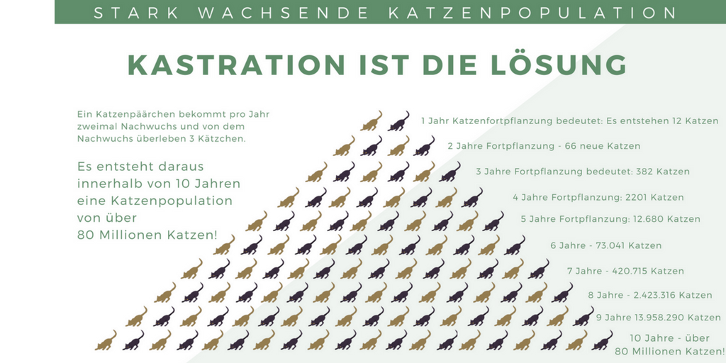 Den Hodensack In Kaltes Wasser Hängen