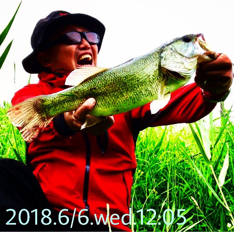 roskilde3139's tweet photo. 生暖かい小雨、24度
岸沿いをてれんぱれん泳ぎよるバス発見
ドライブスティック投げたら
ボトムで喰ってました😄
#バス釣り #ドライブスティック #osp
#グラディエーターアンチ #ストライド
#レイドジャパン
#dolivestick #gradiatoranti #bassfishing #stradic #shimano #stride #raidjapan
#angler https://t.co/mCfO2AAtPK