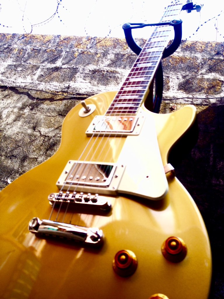 QuacidBand's tweet photo. A little sunshine over Olive's skin oughta do it. https://t.co/kE9bIRyBoE