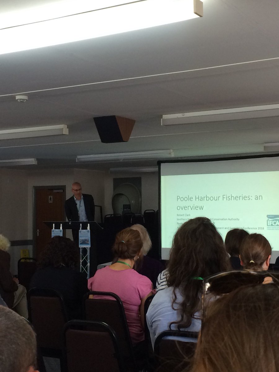 Dr Alice Hall tweet media