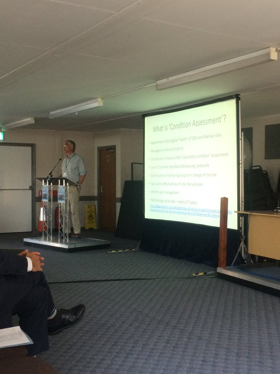 Dr Alice Hall tweet media