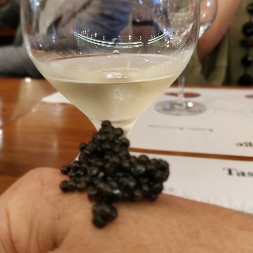 estevecamps's tweet photo. Excel·lent maridatge de caves Ramon Raventós i caviar Calvisius al Bardaguer de Folgueroles.
#gastro #food #osona #gastronomia #cuina #instaosona #cuina #cava #maridatge https://t.co/oXkHXi9RXM