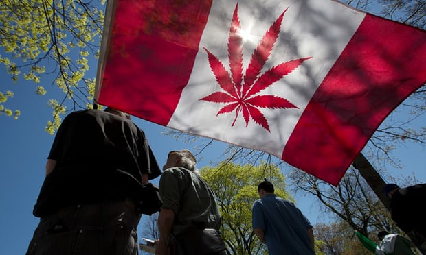 TransformDrugs's tweet photo. All eyes on Canada as first G7 nation prepares to make cannabis legal 
https://t.co/DEqxHgIj96
Comprehensive piece in advance of the senate vote on Thursday. Quotes @SteveTransform https://t.co/IaW1au3uqS