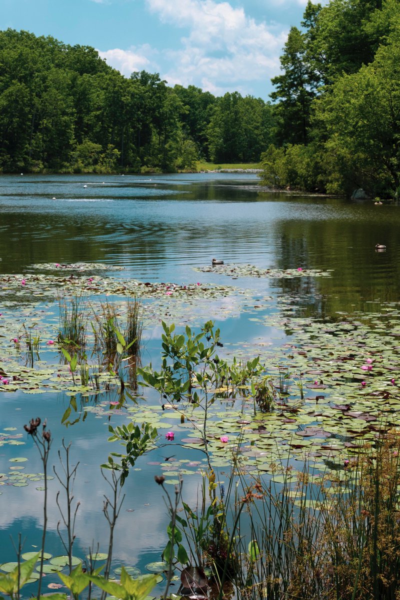 Imagethirst tweet media