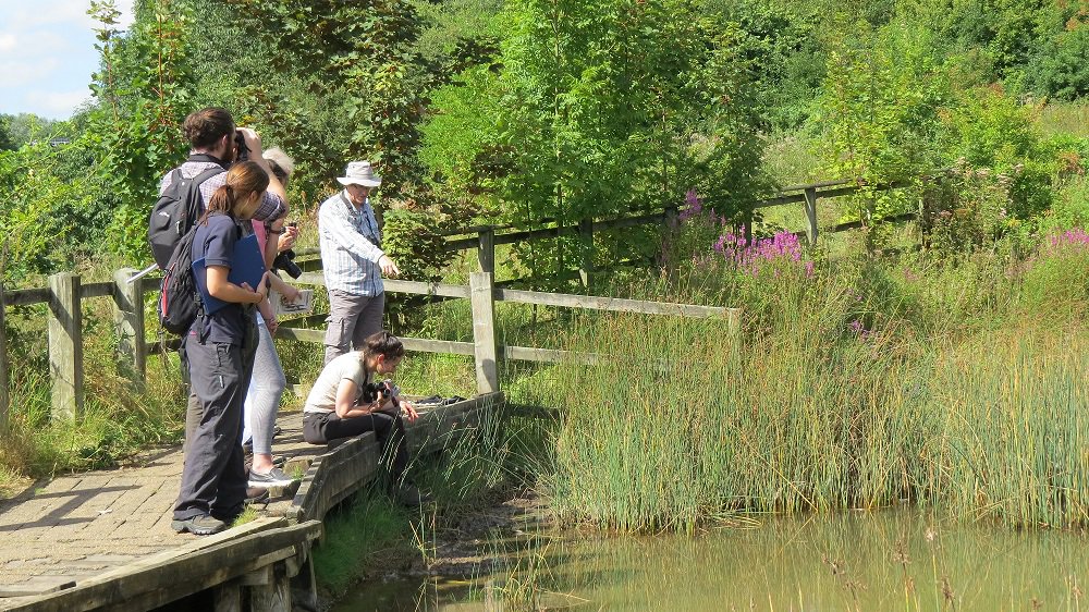 Our first Community Nature Hub #Wildlife Recording Day will be held on the 17th June at Sound Common SSSI! Further details and booking here... eventbrite.co.uk/e/wildlife-rec… #wildliferecording