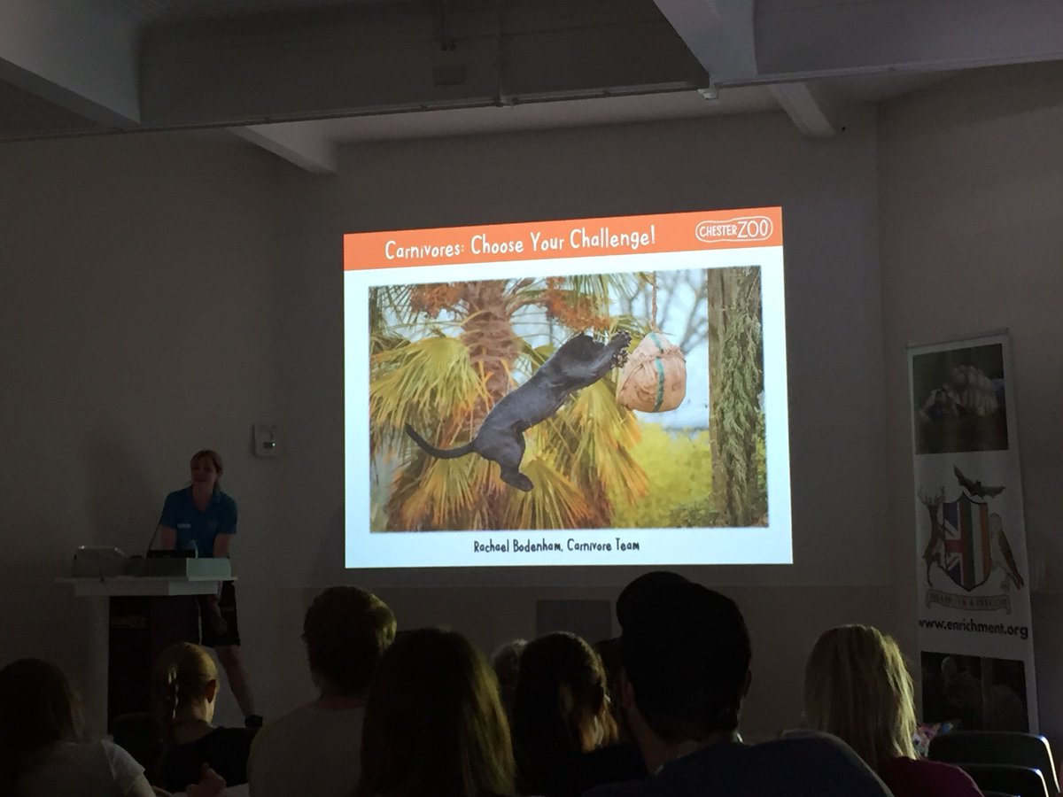 Leahjw's tweet photo. Lead keeper, Rachel Bodenham, gives a great overview of the innovative carnivore enrichment used @chesterzoo #REEC2018 @ScienceatCZ https://t.co/BJBB6GTZgj