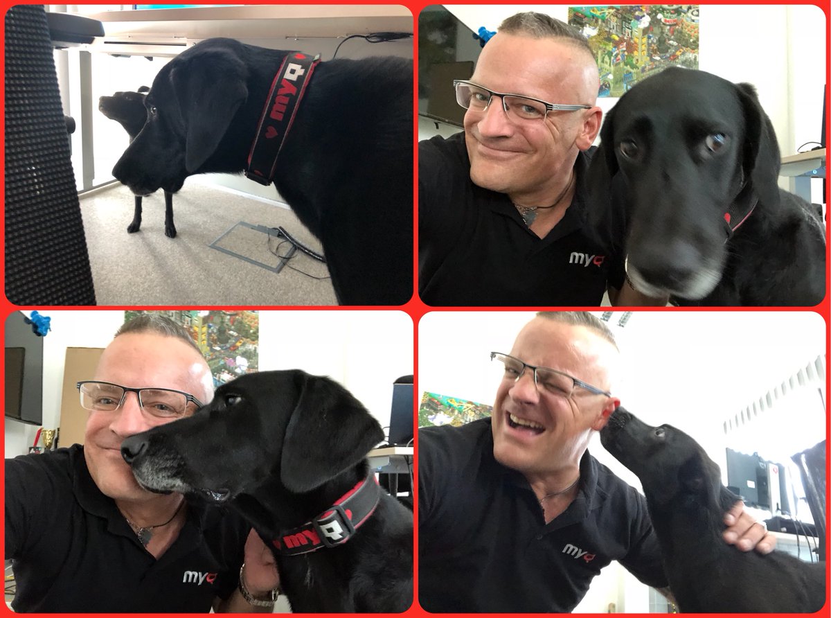 MyQ_DE's tweet photo. Grüße von der @myqsolution aus Prag.
#Rudy & #Blecha https://t.co/Lssm7r15YJ