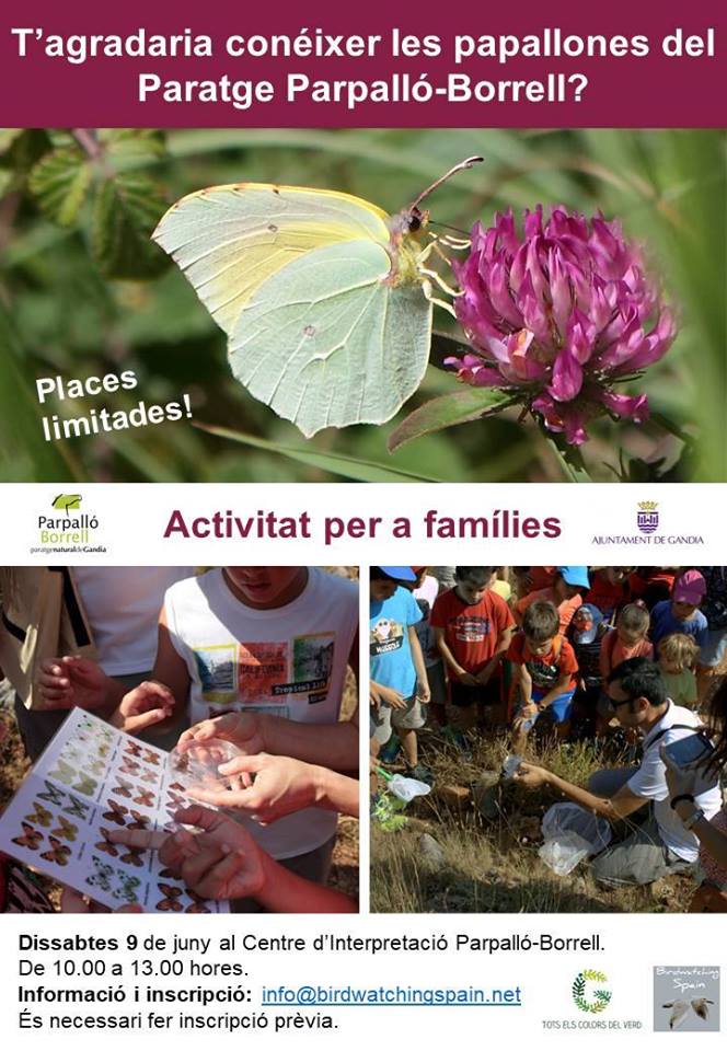 visitgandia's tweet photo. 🦋🦋 Este #FinDeSemana tenemos actividad #XIVEGa en el #ParpallóBorrell
¿ Os gustaría un plan familiar para saber más de las #mariposas que vuelan por nuestra #montaña ? Inscribiros en info@birdwatchingspain.net y os esperamos el #sábado a las 10h
#PlanesConNiños #GandiaBrilla https://t.co/cpwMxE1qXe