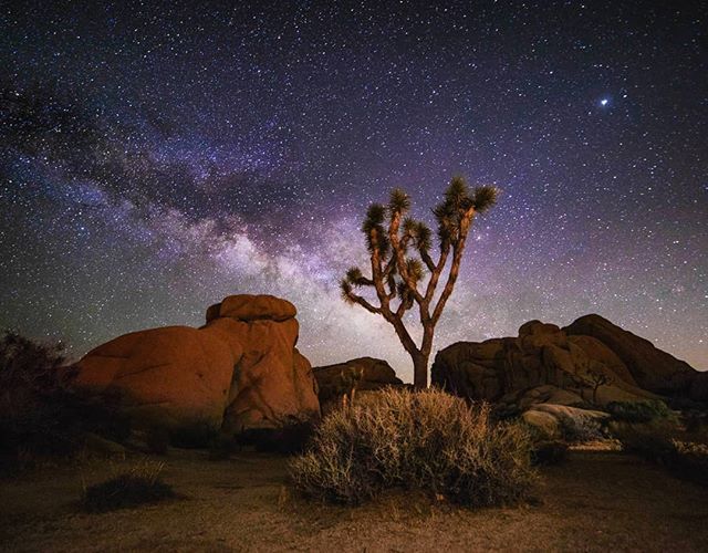 Brendanvanson's tweet photo. Another dark sky image from #Route66 shoot in Joshua Tree National Park with @sandiskeurope
Could not have asked for a better night, or location.
#speeduptheflow #bvsroute66 https://t.co/vBtEkAsf02 https://t.co/hPDOvfqqml