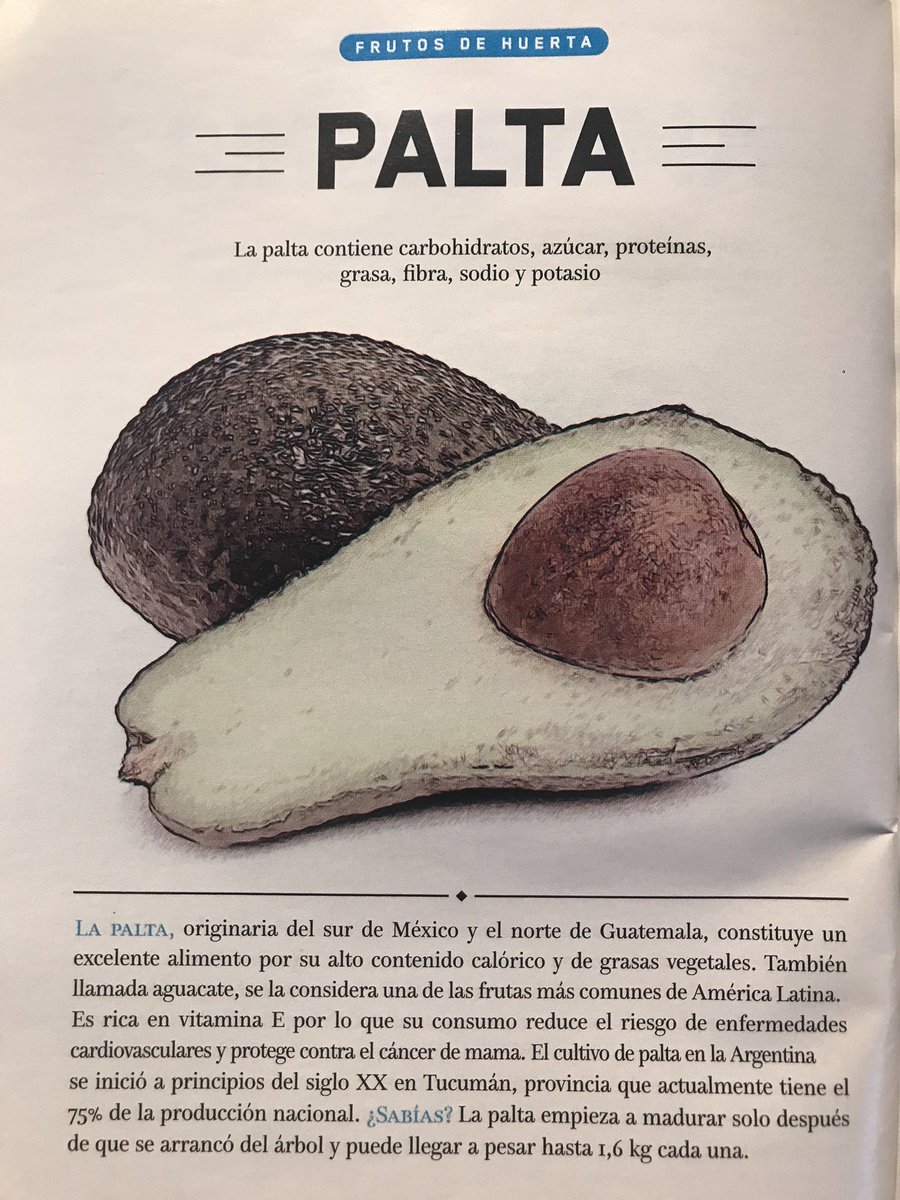 studioparadisoo's tweet photo. #aprendiendo #donatodixit #palta https://t.co/wWQH3pdqEg