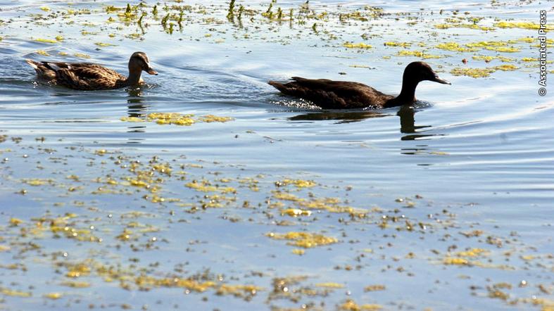 USConsIstanbul's tweet image. Yeni #DipNote blog yazısı - “2018 #DünyaÇevreGünü Kutlamaları” go.usa.gov/xQ7tb #PlastikKirliliğineSon #BeatPlasticPollution #WorldEnvironment Day