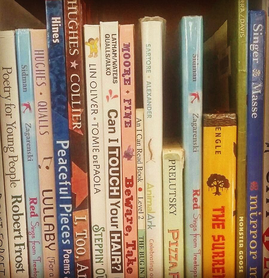 waterscharles's tweet photo. Before performing at the Richmond Hill branch of the @QueensLibrary, I saw, for the first time, my name in the spine of a book nestled in the 8-1-1 section of a library. This was a nice feeling. 
#charleswaters #canitouchyourhair #book #library #queenslibrary #section811 https://t.co/Hvi3Z3PiP1