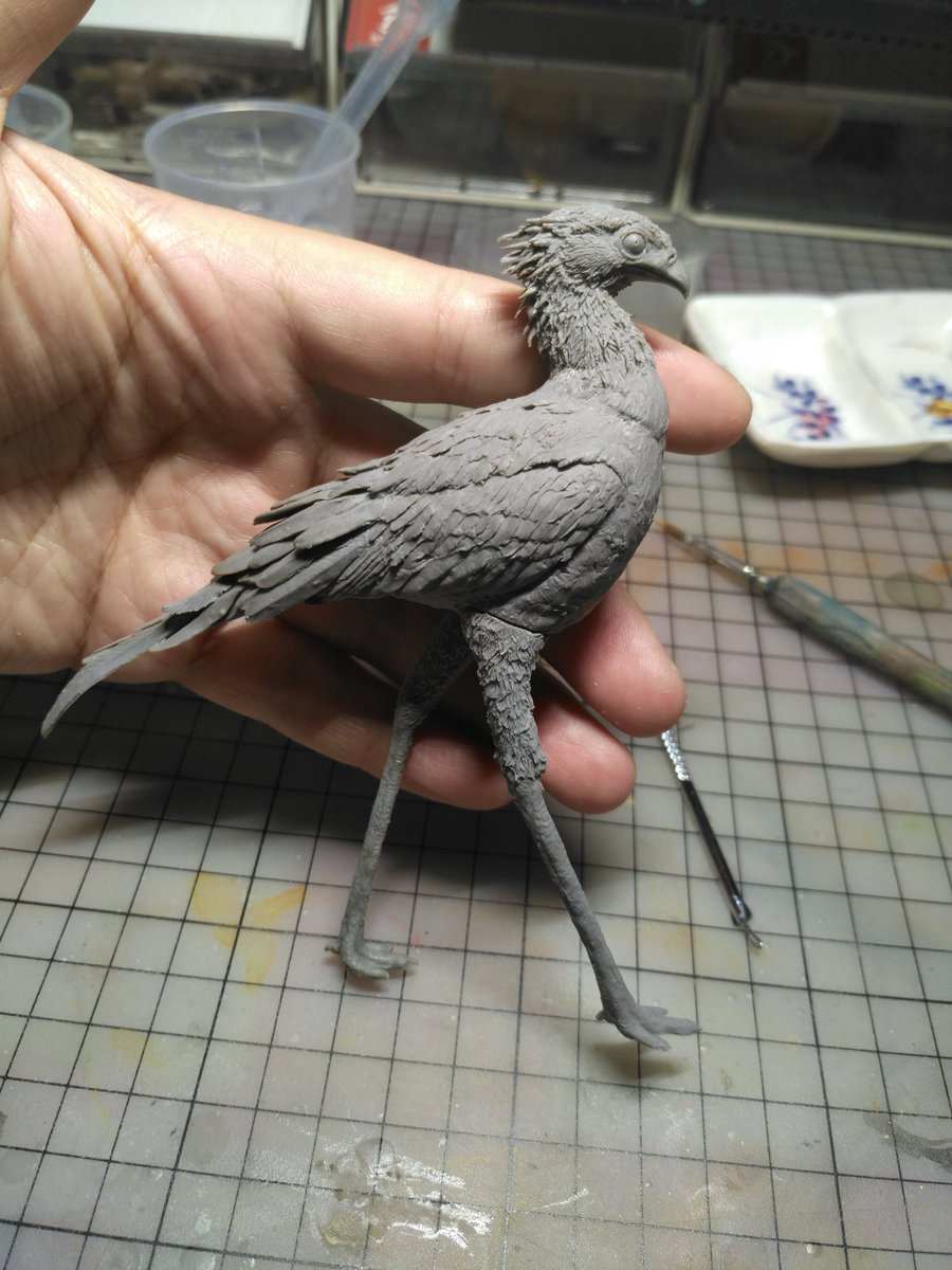 MarsJerryXuan's tweet photo. Secretary bird https://t.co/K6OuIRtJHz