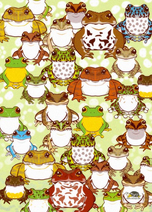みのじ 今日はカエルの日ということで 日本の蛙イラスト 正面顔が好きです カエルの日 T Co Kwo9r7z3xc Twitter
