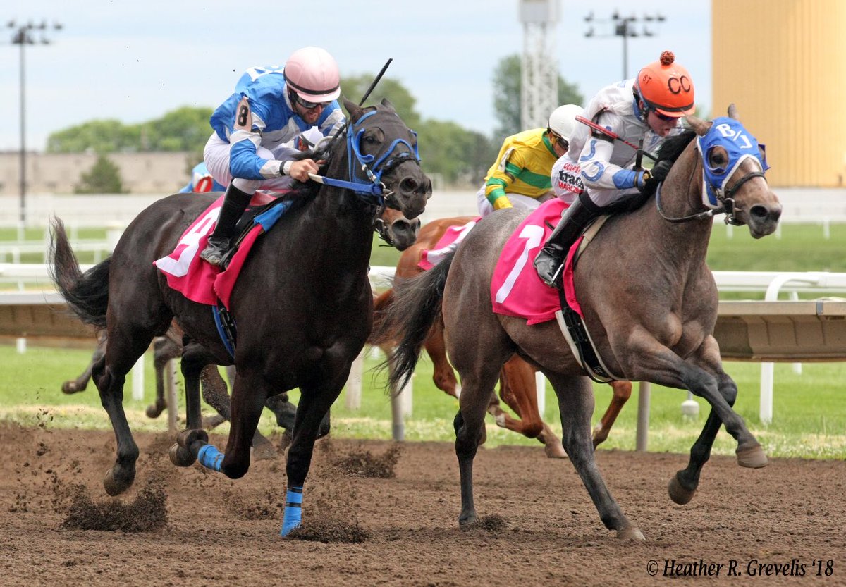 MNQHRA's tweet photo. Bhr Flashing Effort (Cs Flashlight - Bhr Missy Special by Shake It Special)..trainer Bob Johnson &amp; owner/breeder Broken Heart Ranch....won MN Stallion Breeders’ QH Futurity Sun @CanterburyPark https://t.co/pNh8ON5mUy