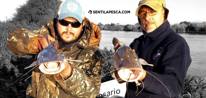 Sentilapesca's tweet photo. RELEVAMIENTO | Pesca deportiva con devolución en Rosario > https://t.co/Vt1rHjHQ3j
#pescadeportiva #condevolucion #rosario #santafe #surubies #dorado #embarcados #concarnada https://t.co/BPlF39kFUz