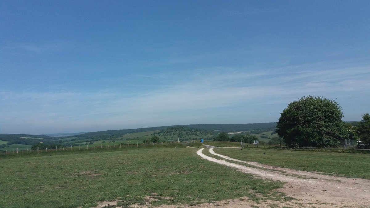 Ian Cook tweet media