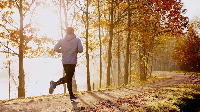 bartoldbiomecha's tweet photo. Tom Goom is quite prolific. @tomgoom has now created an #exerciseprogramme for a patient with #MedialTibialStressSyndrome
You can read Tom's thoughts at https://t.co/HmnDS12nnL https://t.co/gsHPaxntF7