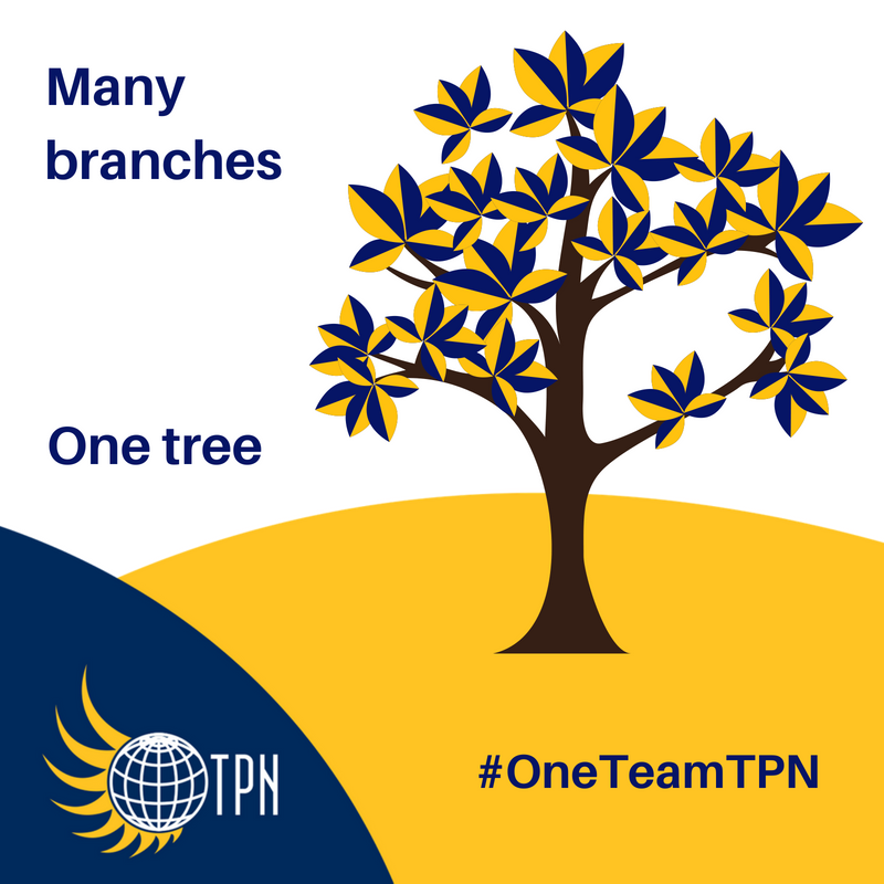 THE Pallet Network tweet media