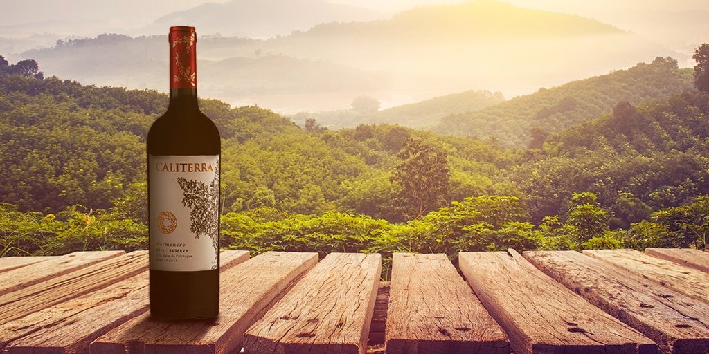 Viña Caliterra tweet media