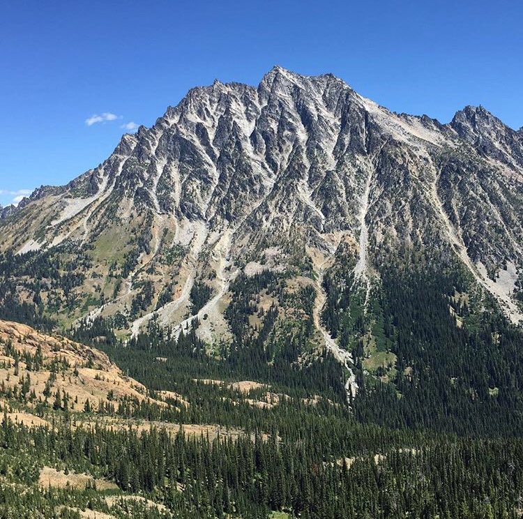 mt_stuart's tweet image. Have I told you guys how awesome I am lately! Well I am really awesome!#mountains #hikingadventures #wta