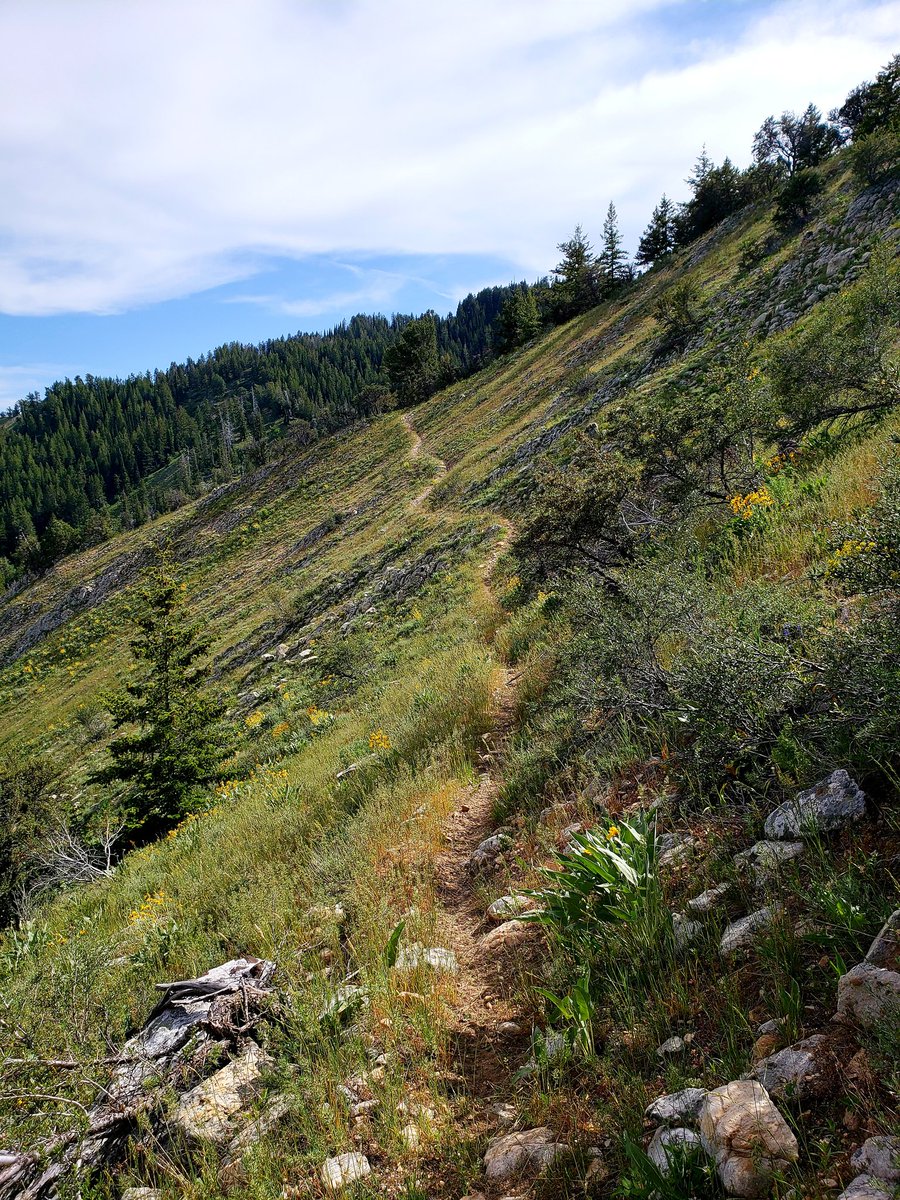 MartinHackworth's tweet image. So many trails, so little time. #ridetirement #klimlife #trailtech