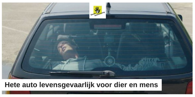 Hitte-experiment: oververhitte auto is levensgevaarlijk voor dier en mens bit.ly/2sB1FRP. Bekijk hier direct de video bij @Lifestyle4pets: bit.ly/2JhOgIw. Laat dus nooit je hond (of kind) achter in de auto! #OpSlotHondEruit